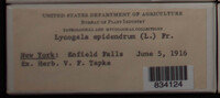 Image Associated With the Occurence